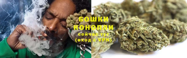 кокс Белокуриха