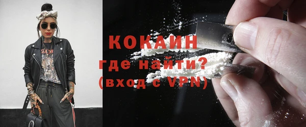 индика Беломорск