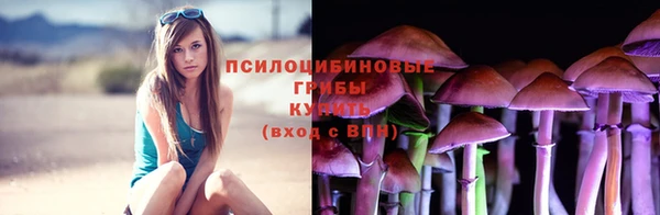 экстази Бородино