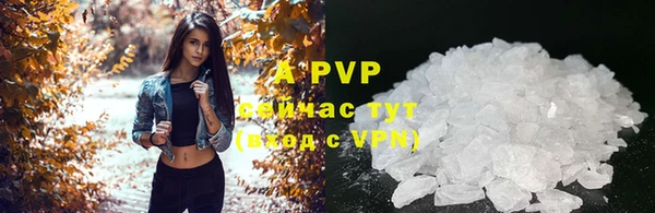 кокс Белокуриха