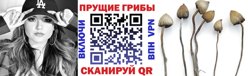 блэк спрут зеркало  Гремячинск  Псилоцибиновые грибы ЛСД  где найти наркотики 
